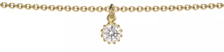 Lempikoru Nuppu - nilkkaketju - Nilkkakorut - 5007701250 - 1