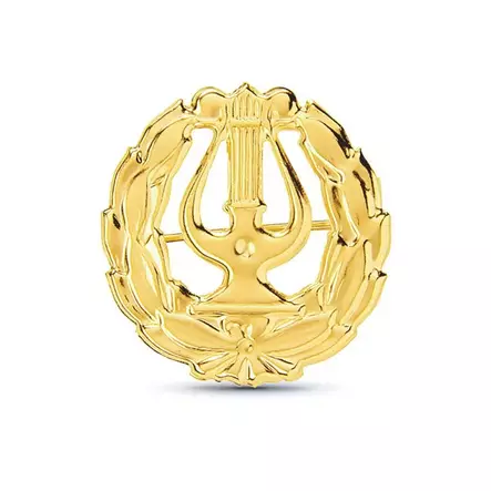 Kultainen Rintalyyra Vahvikkeella - Rintakorut ja lyyrat - 4801.1 - 1