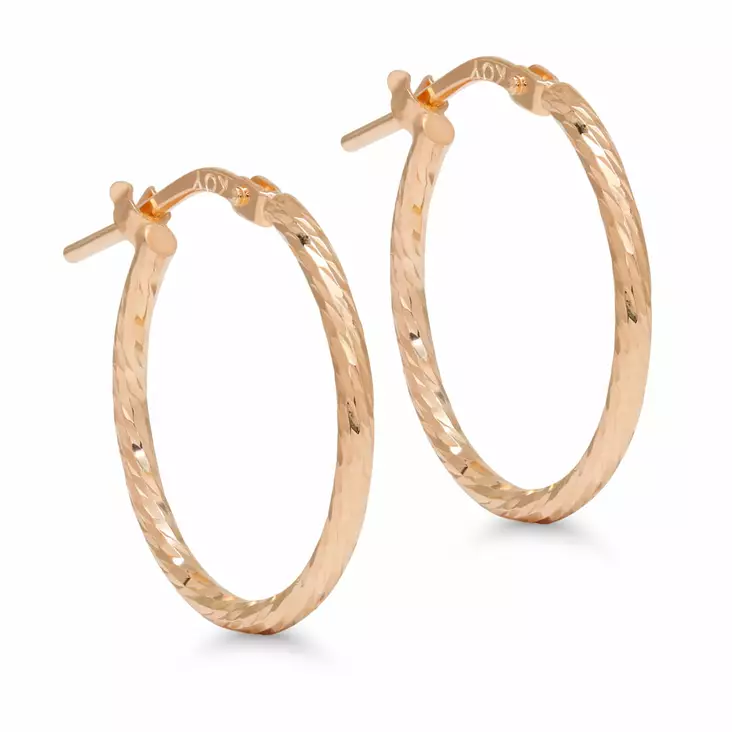 Hopeakorvakoru - Hopeakorut - SX-E0037RG - 1